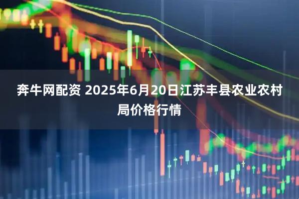 奔牛网配资 2025年6月20日江苏丰县农业农村局价格行情
