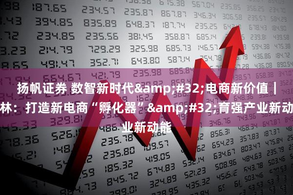 扬帆证券 数智新时代&#32;电商新价值｜吉林：打造新电商“孵化器”&#32;育强产业新动能