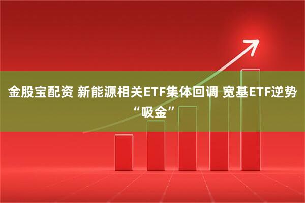 金股宝配资 新能源相关ETF集体回调 宽基ETF逆势“吸金”