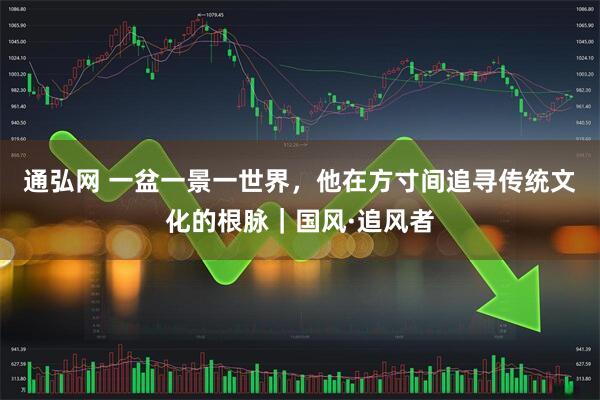 通弘网 一盆一景一世界,他在方寸间追寻传统文化的根脉|国风·追风者