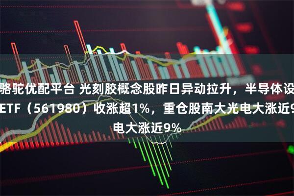 骆驼优配平台 光刻胶概念股昨日异动拉升，半导体设备ETF（561980）收涨超1%，重仓股南大光电大涨近9%